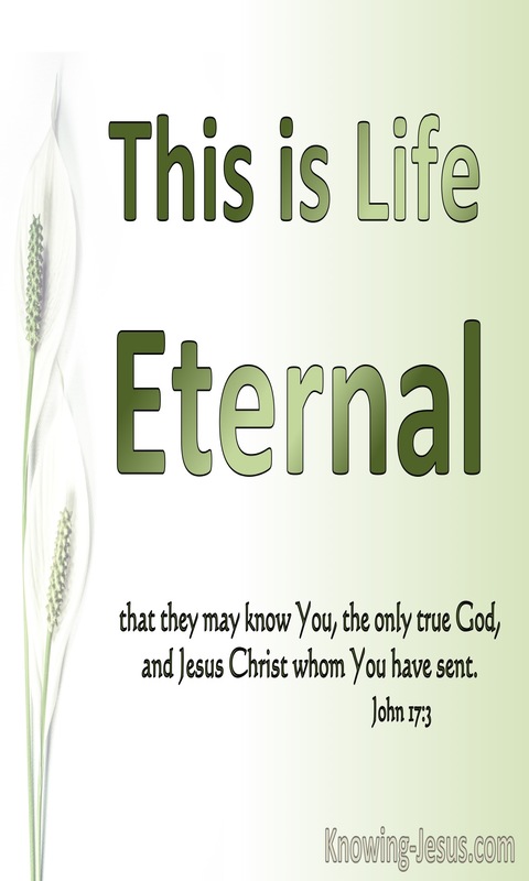 The Eternal God (devotional)07-13 (green) - John 17:3